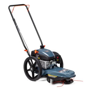 SENIX 160-cc 22-in String Trimmer Mower