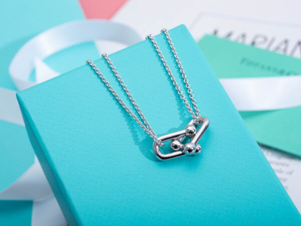 Toxse HardWear Double Link Necklace - Image 8