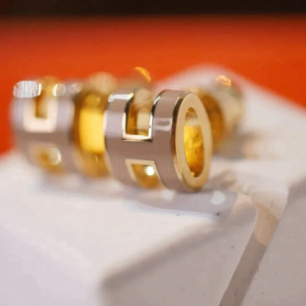 Toxse Mini Pop H Gold Earrings Grey - Image 3