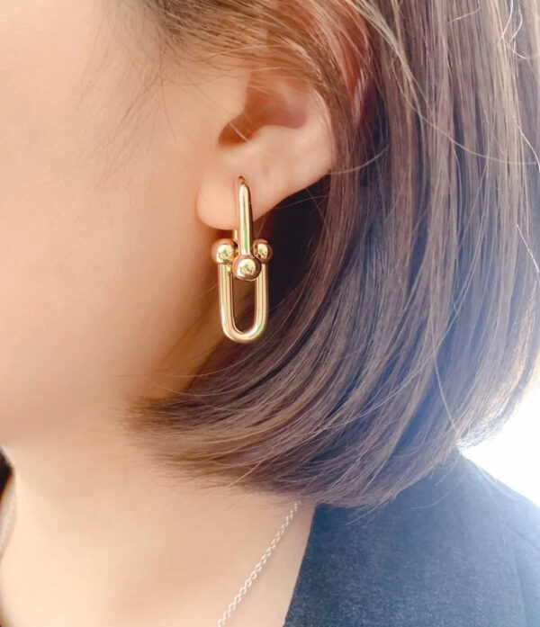 Toxse T - Jewelry Hardwear No Diamond Earrings - Image 6