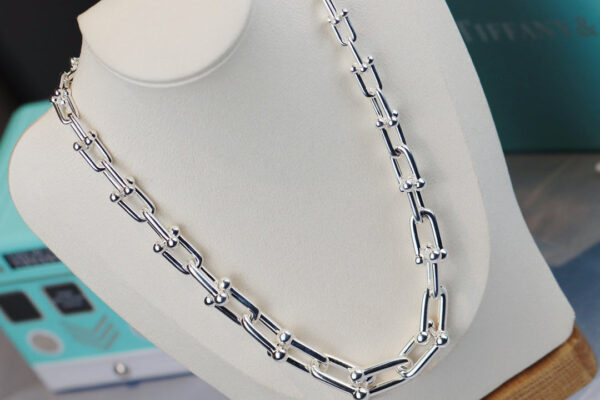 Toxse T - Jewelry Hardwear Graduated Link Necklace - Image 4