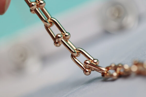 Toxse T - Jewelry Hardwear Graduated Link Necklace - Image 7