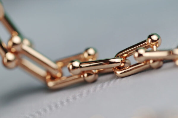 Toxse T - Jewelry Hardwear Graduated Link Necklace - Image 8