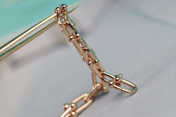 Toxse T - Jewelry Hardwear Graduated Link Necklace - Image 11