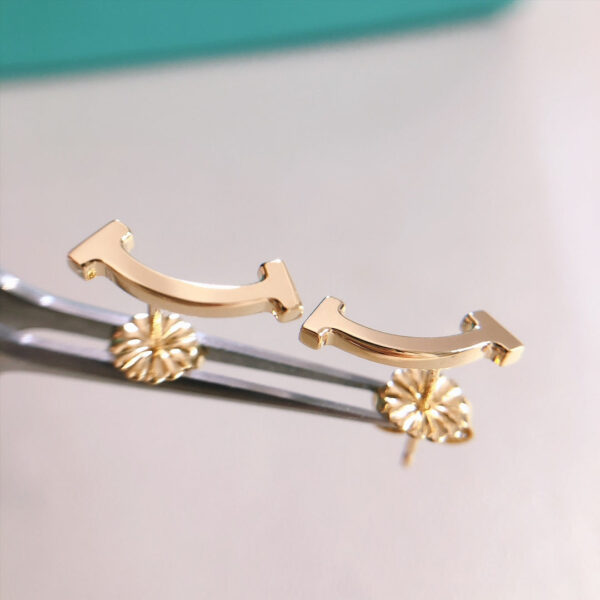 Toxse T - Jewelry T1 No Diamond Earrings - Image 2