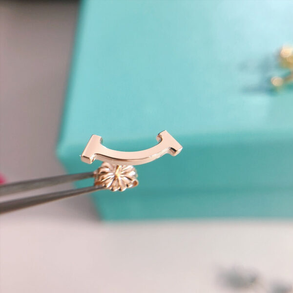 Toxse T - Jewelry T1 No Diamond Earrings - Image 5