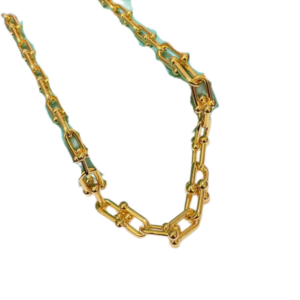 Toxse T - Jewelry Hardwear Graduated Link Gold Necklace