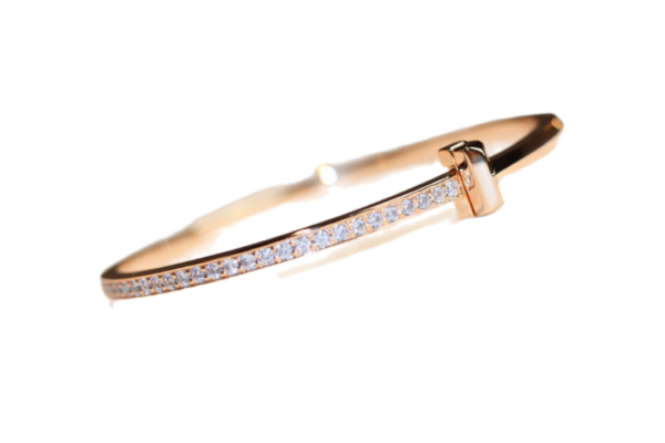 Toxse T - Jewelry T Half Diamond Rose Gold Bracelet