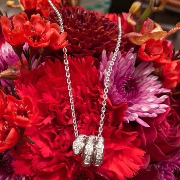 Toxse Serpenti Silver Necklace Double Ring Diamond - Image 2