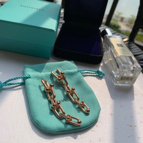 Toxse HardWear Graduated Link Earrings - Image 6
