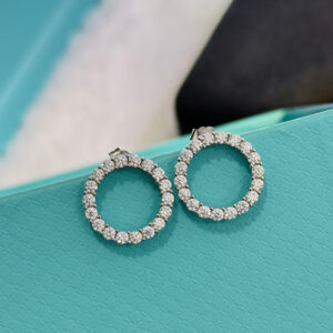 Toxse Circle Diamonds Earrings