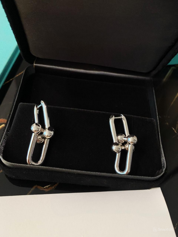 Toxse T - Jewelry Hardwear No Diamond Earrings - Image 3