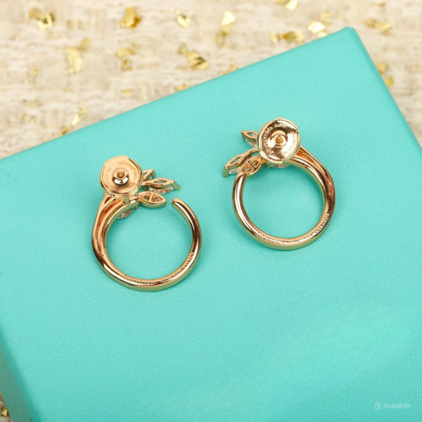 Toxse T - Jewelry Victoria Vine Circle Diamond Earrings - Image 8