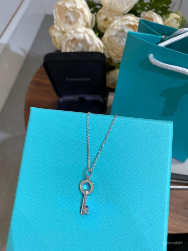 Toxse T - Jewelry Circle Diamond Key Necklace - Image 6
