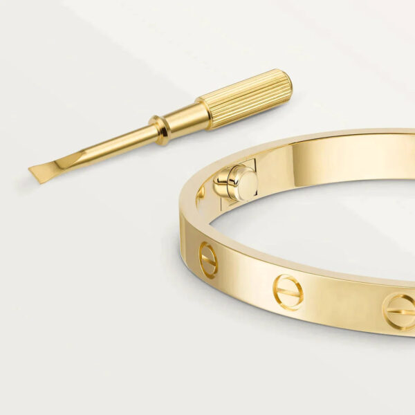 Toxse Classic Love Bracelet - Image 12